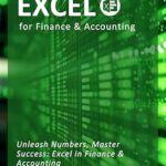 خرید و دانلود نسخه کامل کتاب Excel for Finance & Accounting: The Crash Course 2024