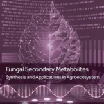خرید و دانلود نسخه کامل کتاب 
Fungal Secondary Metabolites: Synthesis and Applications in Agroecosystem (Nanobiotechnology for Plant Protection)