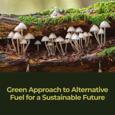 خرید و دانلود نسخه کامل کتاب 
Green Approach to Alternative Fuel for a Sustainable Future