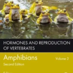 خرید و دانلود نسخه کامل کتاب 
Hormones and Reproduction of Vertebrates, Volume 2 - Amphibians 2nd Edition