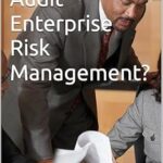 خرید و دانلود نسخه کامل کتاب How Do You Audit Enterprise Risk Management?