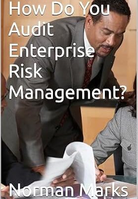 خرید و دانلود نسخه کامل کتاب How Do You Audit Enterprise Risk Management?