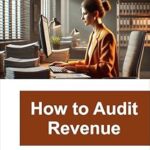 خرید و دانلود نسخه کامل کتاب How to Audit Revenue