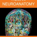 خرید و دانلود نسخه کامل کتاب 
Human Neuroanatomy