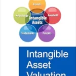 خرید و دانلود نسخه کامل کتاب Intangible Asset Valuation
