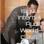 خرید و دانلود نسخه کامل کتاب Is your Internal Audit World-Class?: A Maturity model for Internal Audit