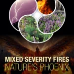 خرید و دانلود نسخه کامل کتاب 
Mixed Severity Fires: Nature's Phoenix 2nd Edition