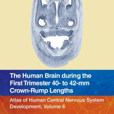 خرید و دانلود نسخه کامل کتاب 
The Human Brain during the First Trimester 40- to 42-mm Crown-Rump Lengths