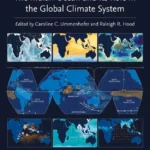 خرید و دانلود نسخه کامل کتاب 
The Indian Ocean and its Role in the Global Climate System