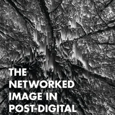 خرید و دانلود نسخه کامل کتاب 
The Networked Image in Post-Digital Culture