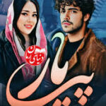 خرید و دانلود نسخه کامل رمان پی یار اثر الهام فتحی