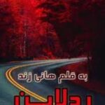 خرید و دانلود نسخه کامل رمان ردلاین اثر هانی زند