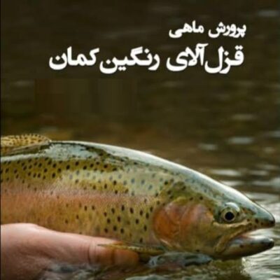 خرید و دانلود نسخه کامل آموزش پرورش ماهی قزل آلا رنگین کمان(پرورش,تکثیر,بیماری ها) | کسب و کار | کسب درآمد