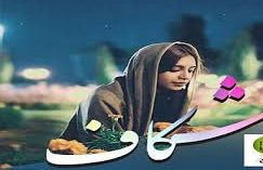 دانلود-رمان-شکاف-اثر-بهار-سلطانی-e1778352604114 خرید و دانلود نسخه کامل رمان شکاف اثر بهار سلطانی