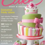 خرید و دانلود نسخه کامل 18 مجله کیک . Cake magazine