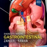 خرید و دانلود نسخه کامل کتاب Diagnostic Imaging: Gastrointestinal 5th Edition - original pdf
