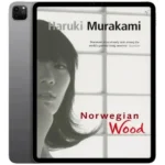 خرید و دانلود نسخه کامل داستان انگلیسی Norwegian Wood 2000 | رمان انگلیسی | داستان انگلیسی