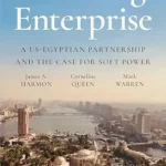 خرید و دانلود نسخه کامل کتاب A Daring Enterprise: A US-Egyptian Partnership and the Case for Soft Power