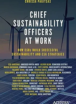 خرید و دانلود نسخه کامل کتاب Chief Sustainability Officers At Work: How CSOs Build Successful Sustainability and ESG Strategies