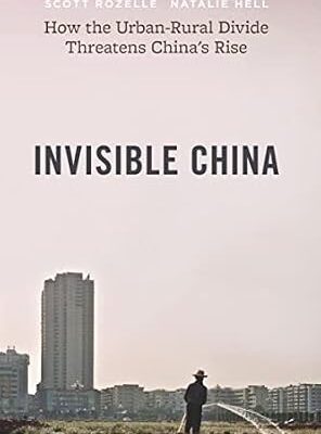 خرید و دانلود نسخه کامل کتاب Invisible China: How the Urban-Rural Divide Threatens China’s Rise