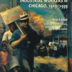 خرید و دانلود نسخه کامل کتاب Making a New Deal: Industrial Workers in Chicago, 1919–1939