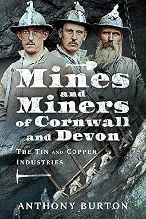 خرید و دانلود نسخه کامل کتاب Mines and Miners of Cornwall and Devon: The Tin and Copper Industries_6a6ed1763feb3.webp خرید و دانلود نسخه کامل کتاب Mines and Miners of Cornwall and Devon: The Tin and Copper Industries