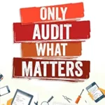 خرید و دانلود نسخه کامل کتاب Only Audit What Matters: 12 Weeks to Using Agile Audit to Focus on the Right Risks at the Right Time