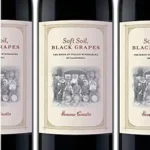 خرید و دانلود نسخه کامل کتاب Soft Soil, Black Grapes: The Birth of Italian Winemaking in California (Nation of Nations Book 21)