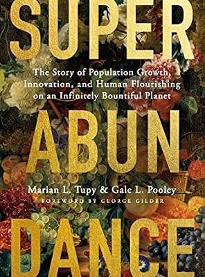 خرید و دانلود نسخه کامل کتاب Superabundance: The Story of Population Growth, Innovation, and Human Flourishing on an Infinitely Bountiful Planet