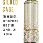 خرید و دانلود نسخه کامل کتاب The Gilded Cage: Technology, Development, and State Capitalism in China
