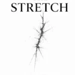 خرید و دانلود نسخه کامل کتاب THE STRETCH : Faith, Fire, and the Rise of a Founder