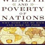 خرید و دانلود نسخه کامل کتاب The Wealth and Poverty of Nations: Why Some Are So Rich and Some So Poor