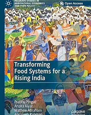 خرید و دانلود نسخه کامل کتاب Transforming Food Systems for a Rising India (Palgrave Studies in Agricultural Economics and Food Policy)