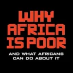خرید و دانلود نسخه کامل کتاب Why Africa is Poor: And what Africans can do about it